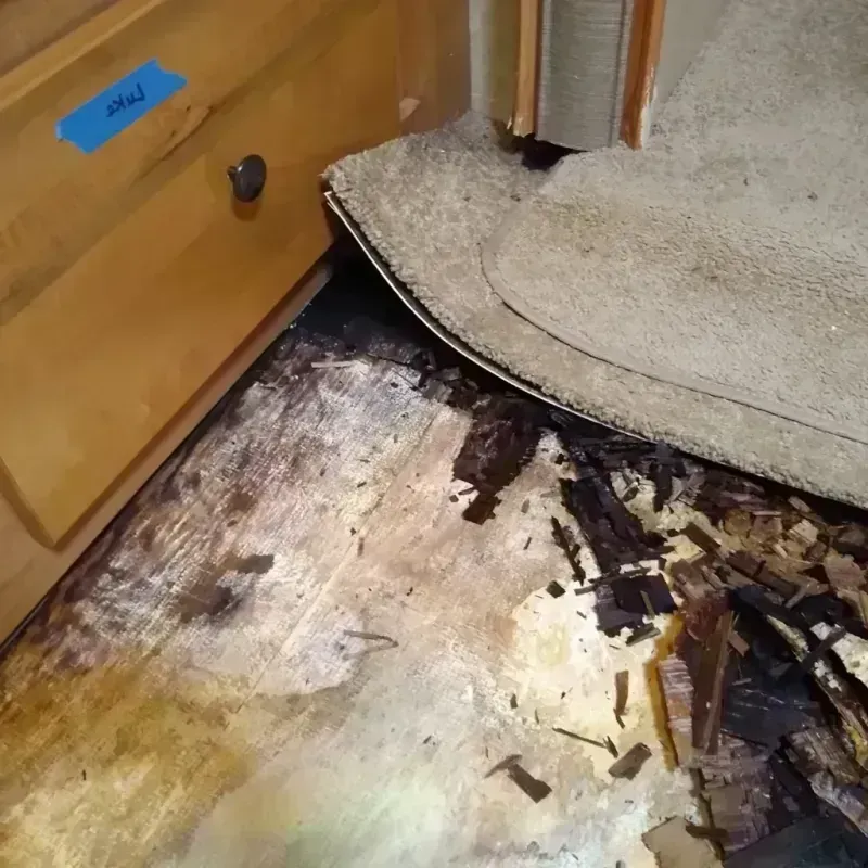 Best Wood Floor Water Damage Service in New Cumberland, PA